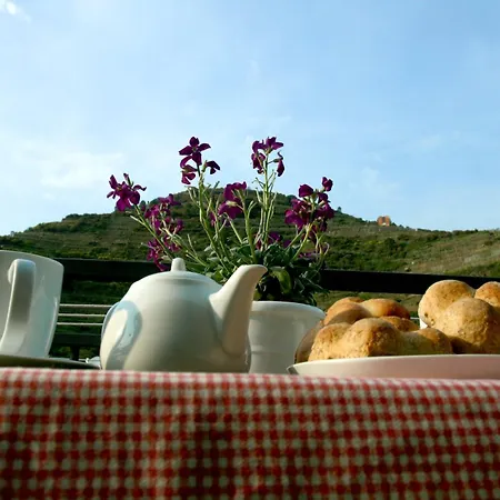 Da Baranin And Manarola